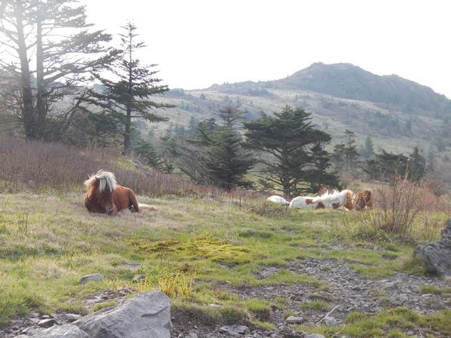 Applachian Trail Ken Grayson Highlands Park